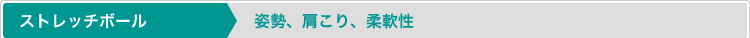 ストレッチポール／姿勢、肩こり、柔軟性