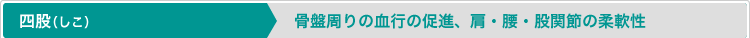 四股（しこ）／骨盤周りの血行の促進、肩・腰・股関節の柔軟性